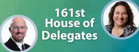161st House of Delegates