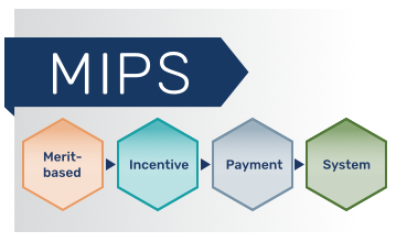 Merit-based Incentive Program System