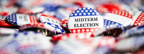 mid term election button